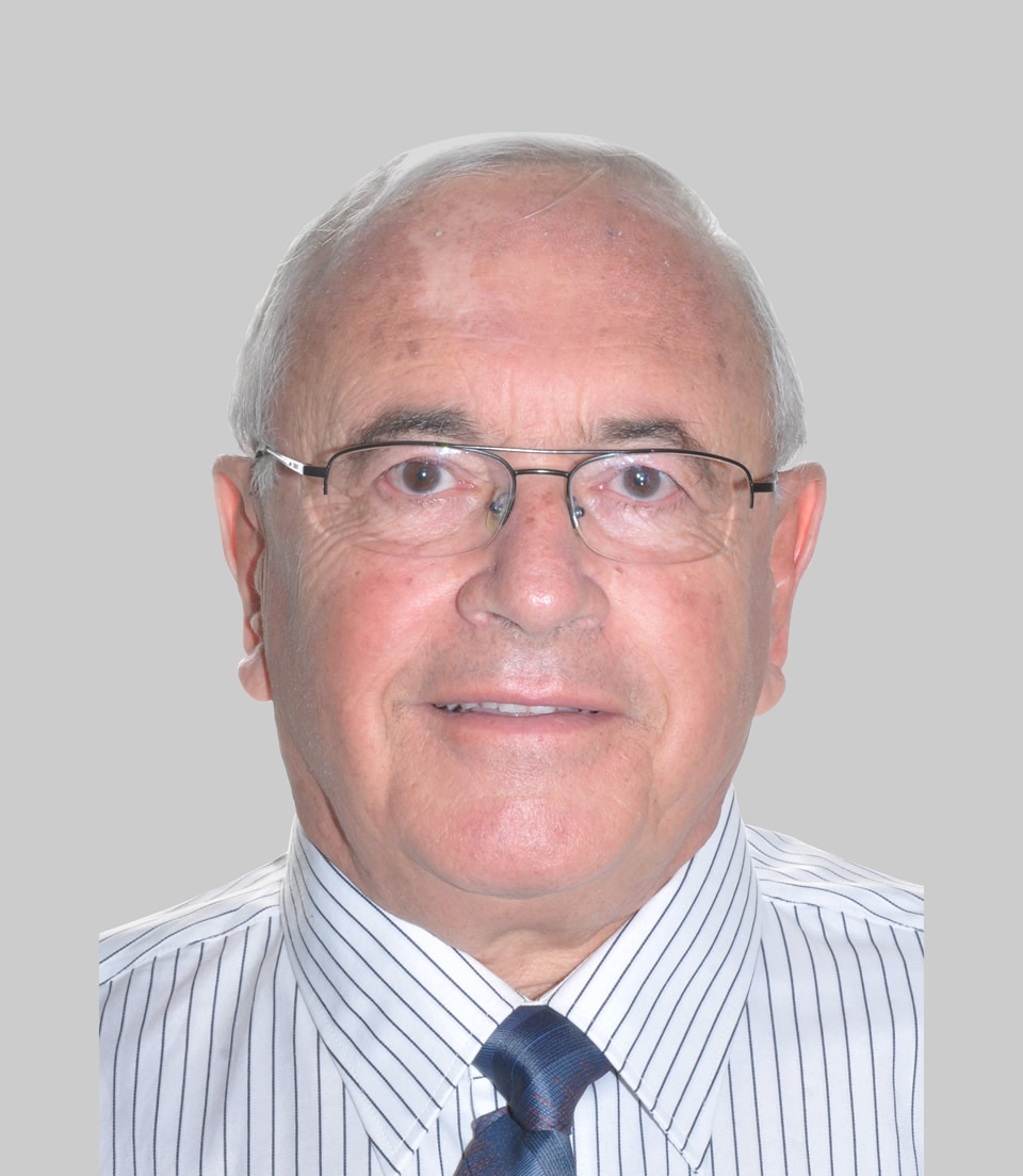 Arie Barzeev